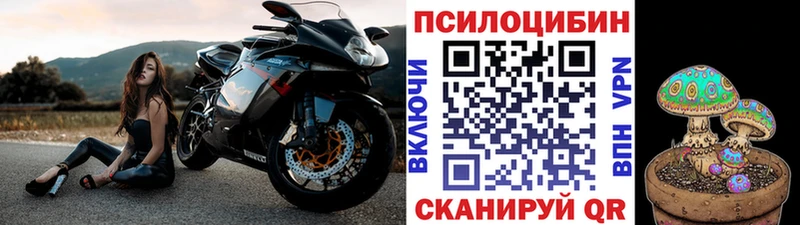 Псилоцибиновые грибы MAGIC MUSHROOMS  Старица 